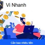 Ví Nhanh Vay