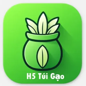 H5 Túi Gạo
